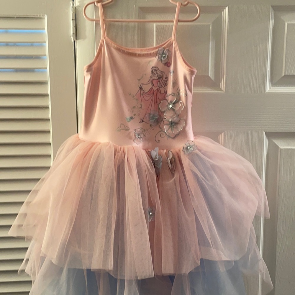 Girls Disney princess dress